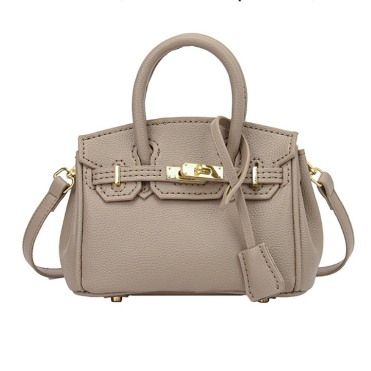 Mini birkin 2025 style bag